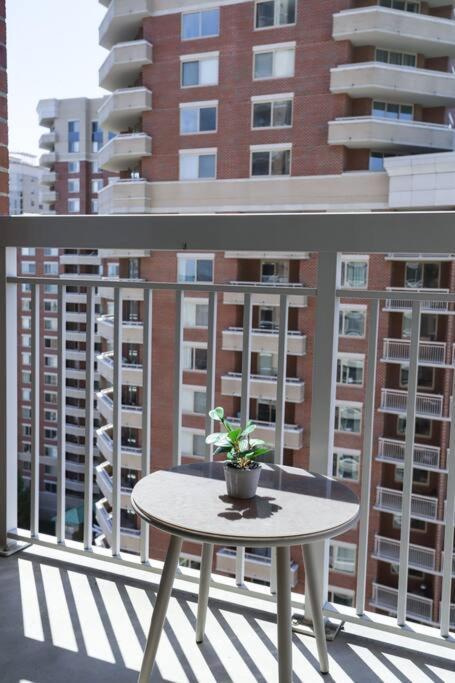 Bright Apartment Walk To Ballston Metro Arlington Dış mekan fotoğraf